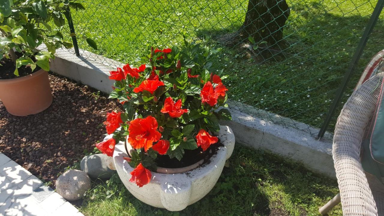 B&B Casa Gaia - Sirmione Eksteriør billede